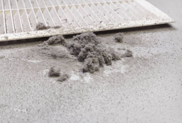 Best HVAC Air Duct Cleaning  in Richmond, MI