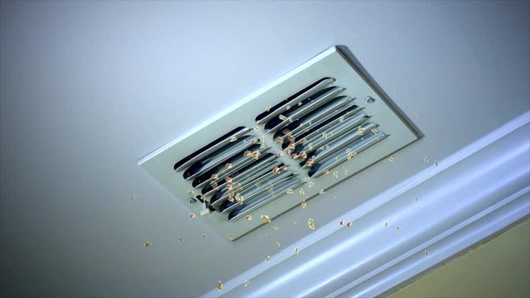 Best Best Air Duct Cleaning Company  in Richmond, MI