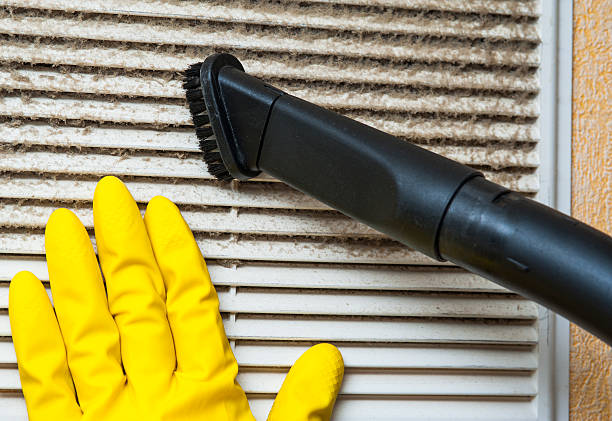 Best Home Air Vent Cleaning  in Richmond, MI